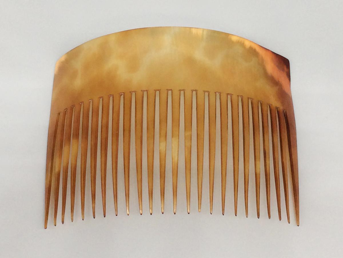 2010.0012.024 Comb, view 1