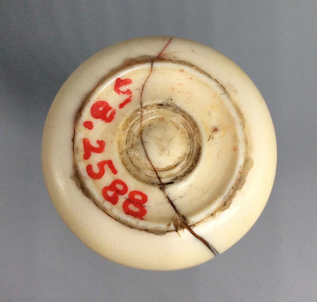 1958.2588 Seal, view 5