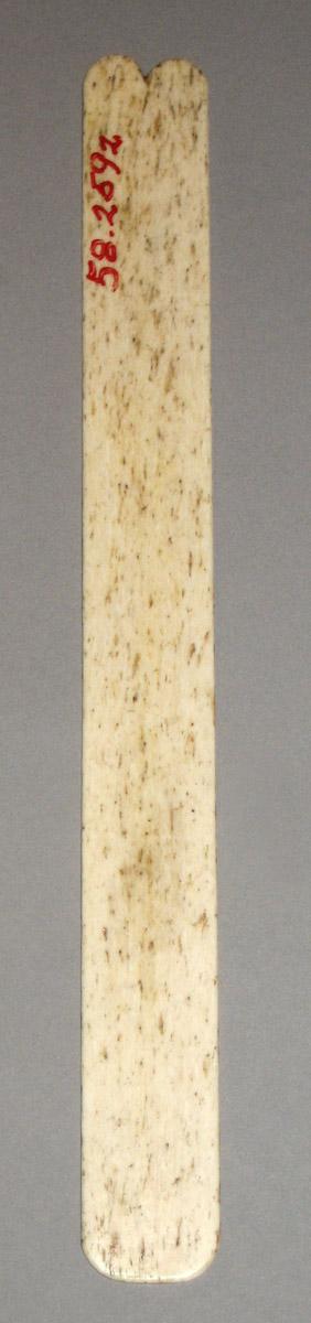 1958.2592 Busk underside