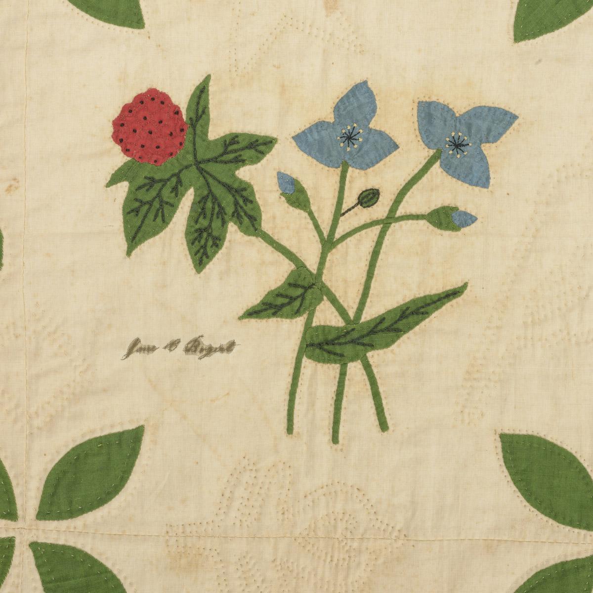 2009.0049.001 Quilt, detail 22